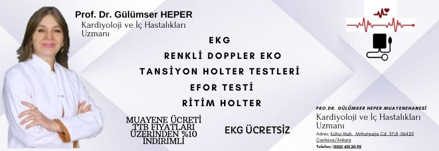 Prof. Dr. Gülümser HEPER