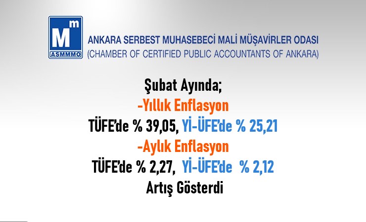 Şubat / 2025 TÜFE ve Yİ-ÜFE Değişim Oranları