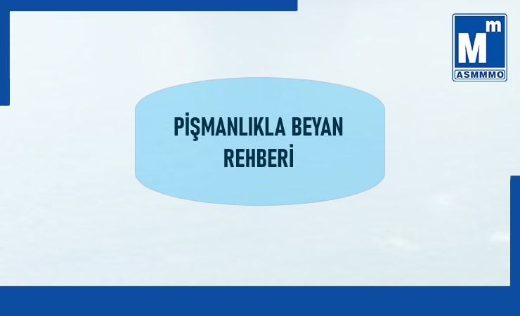 Pişmanlıkla Beyan Rehberi